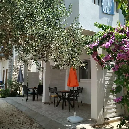 Studio Violeta-50m From The